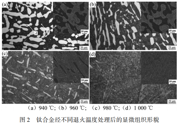 1763901363587025.png 截圖20251123203404.png