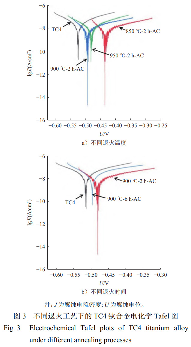 1763905350603973.jpg 未標題-1.jpg