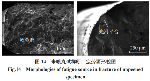 1766372328354588.png 截圖20251222105514.png