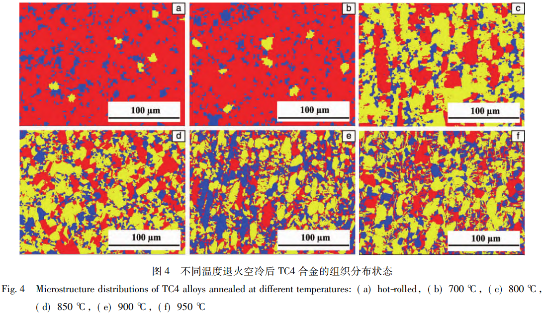 1768188317205051.png 截圖20260112111719.png