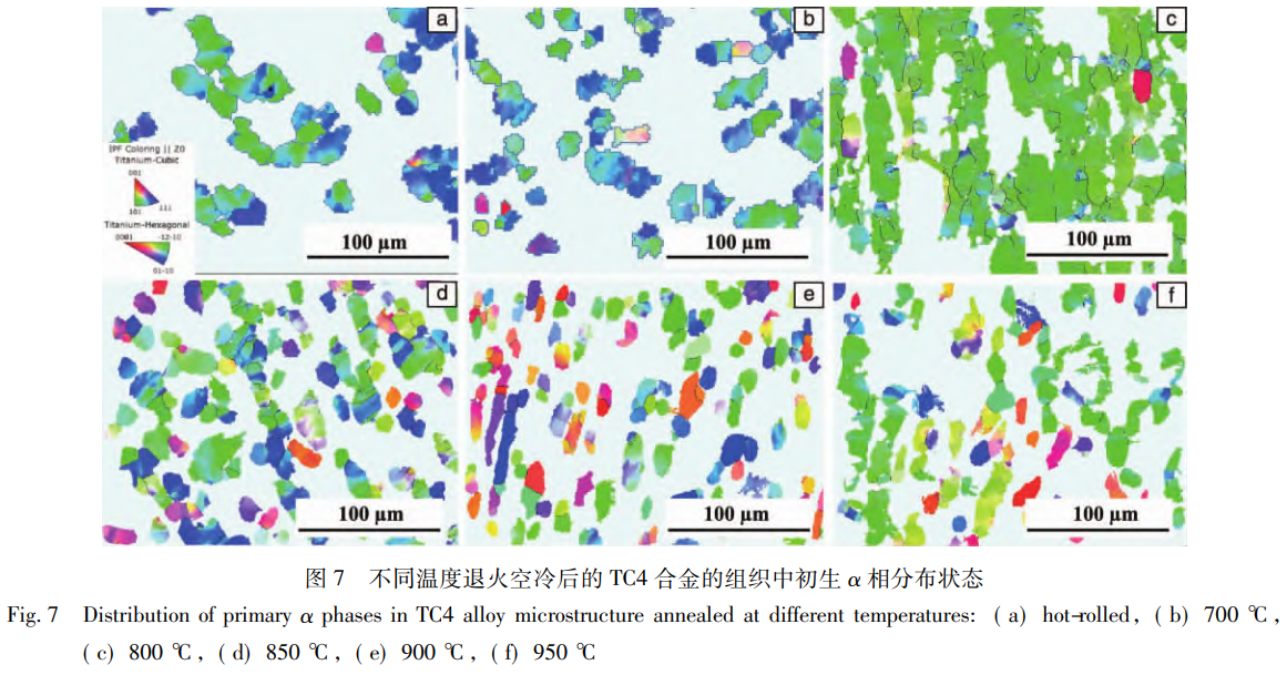 1768188368574953.png 截圖20260112111811.png