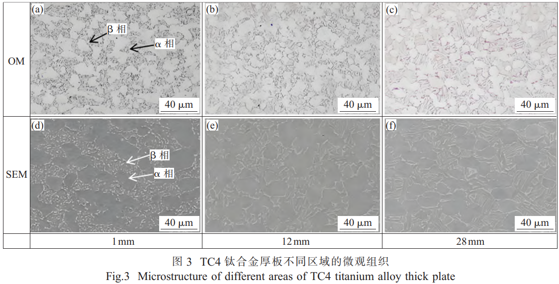 1768356648264054.png 3.png