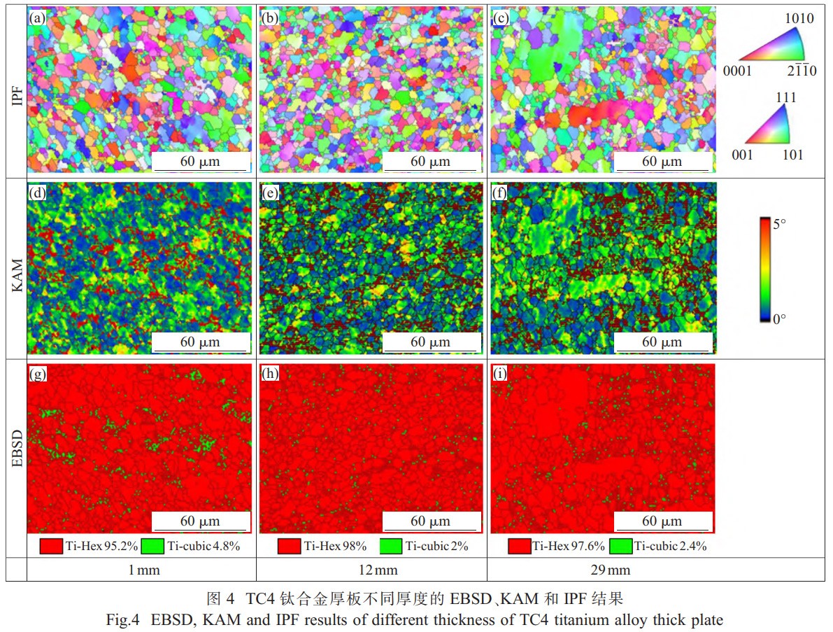 1768356657137788.jpg 4.jpg