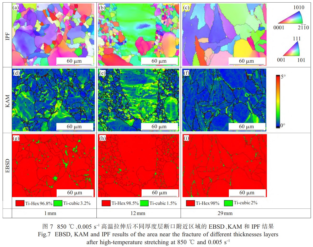 1768356682562587.jpg 7.jpg