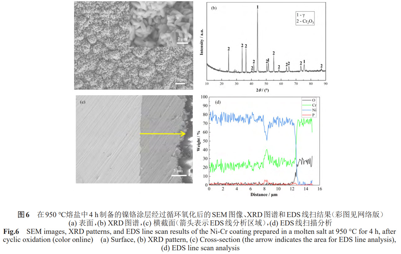 1773576514397541.jpg 6.jpg