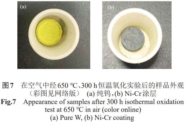 1773576524534084.png 7.png