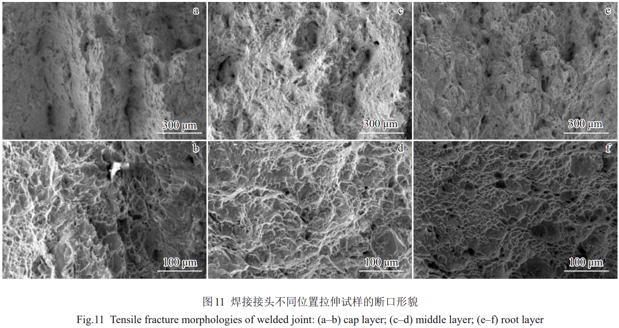 1773578477585933.png 11.png