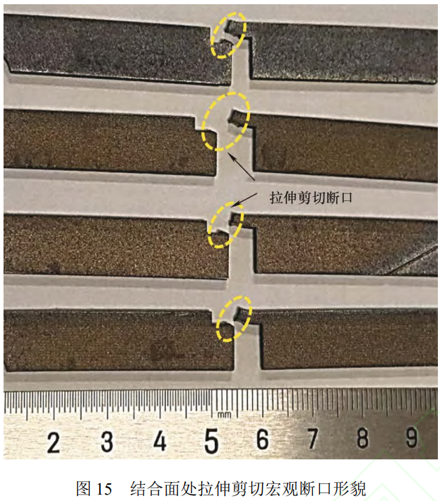 1773627804991676.png 15.png